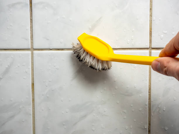 Best Local Mold Removal Service  in Lewes, DE