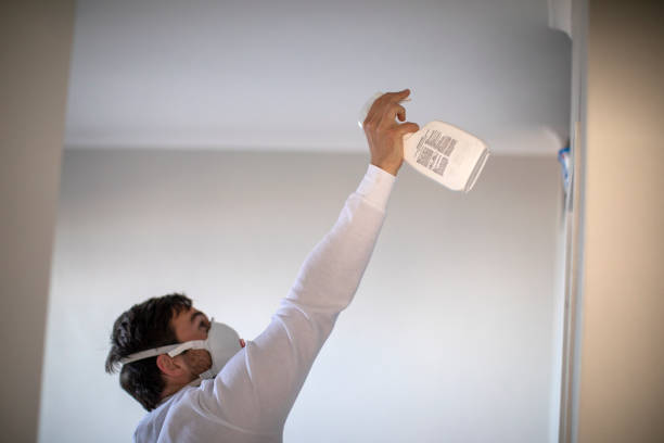 Best Office Mold Removal Services  in Lewes, DE