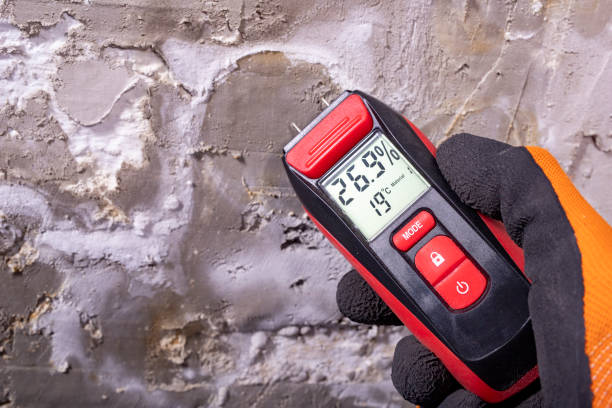 Best Commercial Mold Removal  in Lewes, DE
