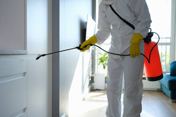 Best Residential Mold Removal  in Lewes, DE