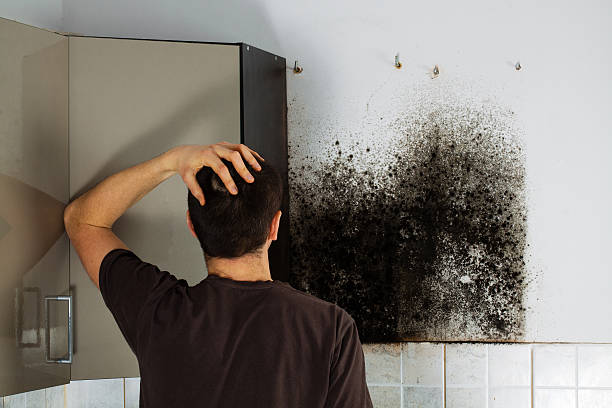 Best Mold Testing  in Lewes, DE